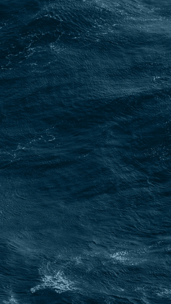 VITANOVA Background 7